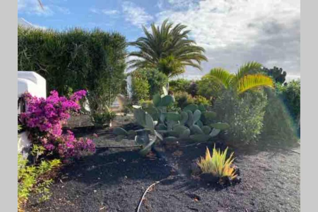 Villa Isa Sea Views Playa Blanca  Bagian luar foto